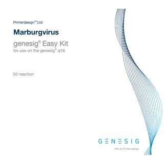 genesig Standard Real-time PCR detection kit für Marburgvirus (150 Tests)